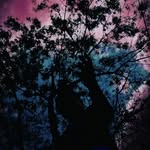Foto Arkhan